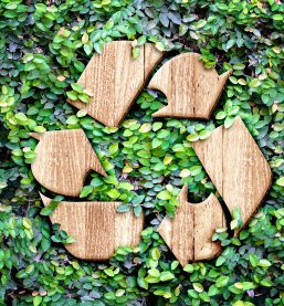Gospodarka odpadami w wymiarze termicznego przekształcania i wyzwań w obszarze odpadów opakowaniowych