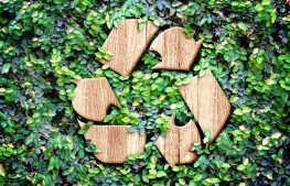Gospodarka odpadami w wymiarze termicznego przekształcenia i wyzwań w obszarze odpadów opakowaniowych