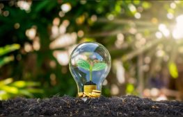 Poprawa efektywności energetycznej i rozwój OZE
