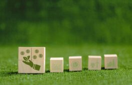 Gospodarka o&nbsp;obiegu zamkniętym w&nbsp;praktyce – zagospodarowanie hałd i&nbsp;ubocznych produktów spalania